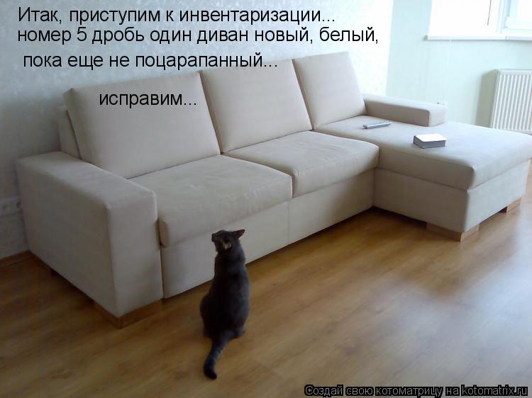 Кот ходит на диван что делать Кот ходит на диван что делать