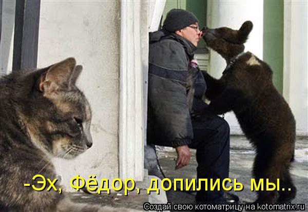 Котоматрица: -Эх, Фёдор, допились мы..