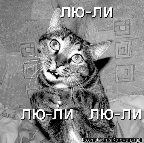 Котоматрица: лю-ли лю-ли лю-ли