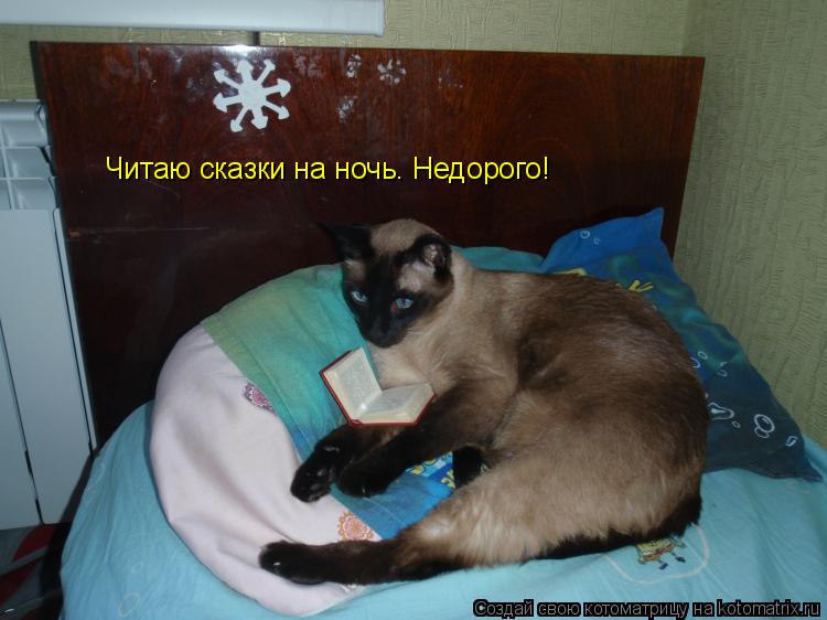 Читаю сказки на ночь. Недорого!... Котоматрица: Читаю сказки на ночь. Недорого!
