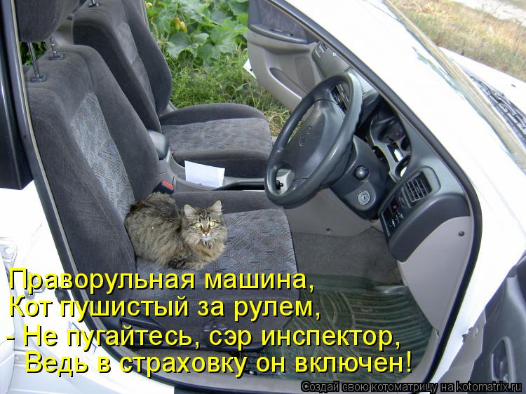 Котоматрица: Праворульная машина, Кот пушистый за рулем, - Не пугайтесь, сэр инспектор, Ведь в страховку он включен!