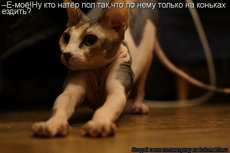 Котоматрица: --Е-моё!Ну кто натёр пол так,что по нему только на коньках ездить?