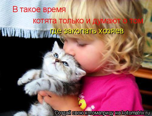 Котоматрица: В такое время котята только и думают о том где закопать хозяев