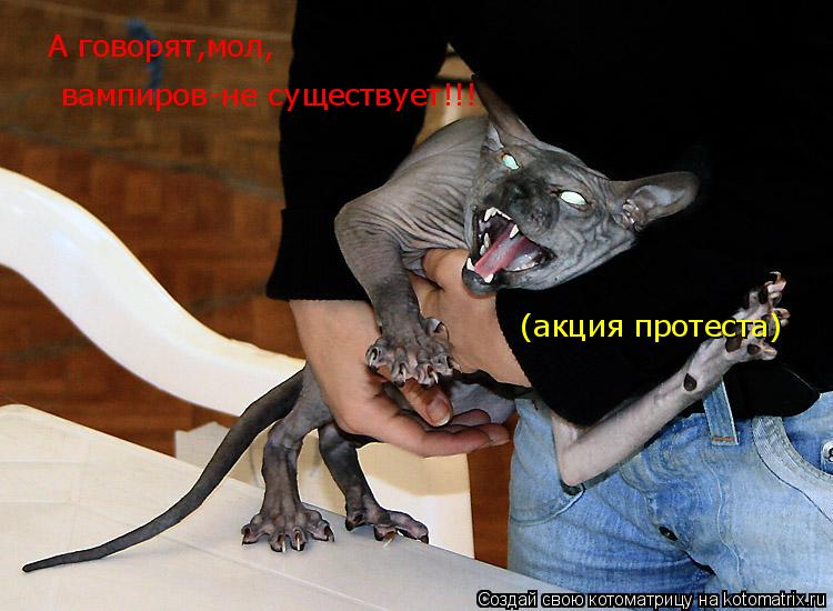 Котоматрица: А говорят,мол, вампиров-не существует!!! (акция протеста)