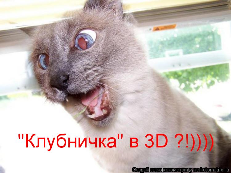 Котоматрица: "Клубничка" в 3D ?!))))