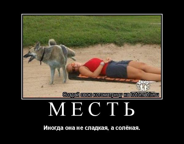 Котоматрица: Месть Иногда она не сладкая, а солёная.