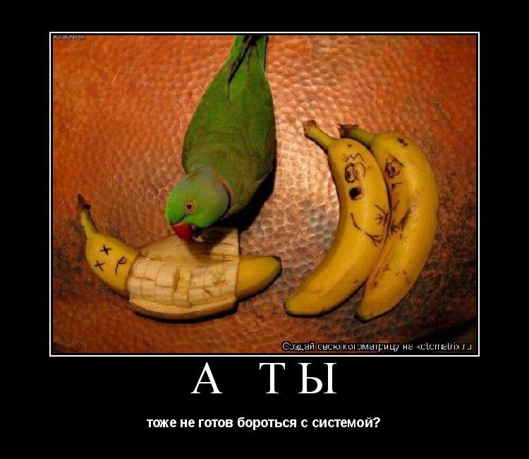 Котоматрица: а ты  тоже не готов бороться с системой?
