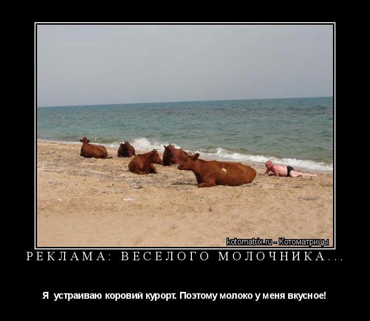 Котоматрица: Реклама: Весёлого молочника... Я  устраиваю коровий курорт. Поэтому молоко у меня вкусное!