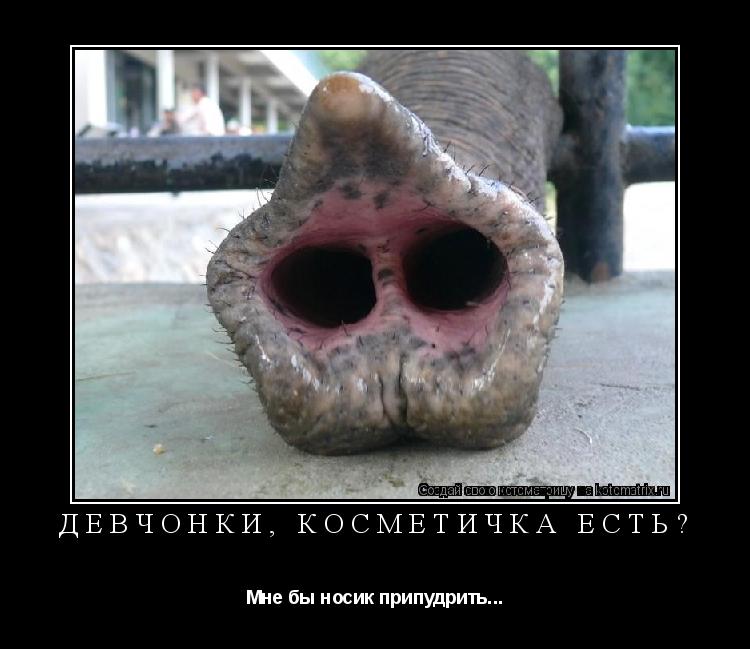 Котоматрица: Девчонки, косметичка есть? Мне бы носик припудрить...