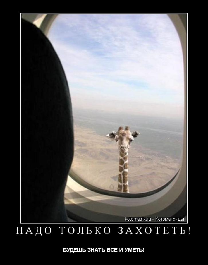 Котоматрица: НАДО ТОЛЬКО ЗАХОТЕТЬ! БУДЕШЬ ЗНАТЬ ВСЕ И УМЕТЬ!