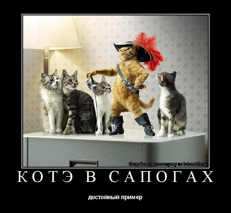 Котоматрица: котэ в сапогах достойный пример