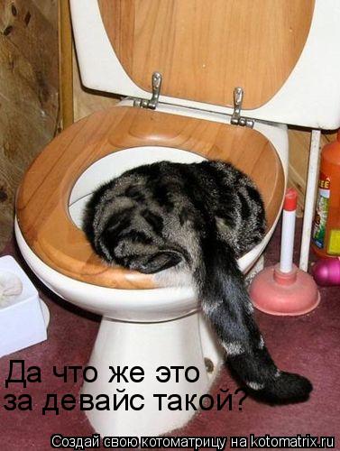 Да что же это за девайс такой?... Котоматрица: Да что же это за девайс такой?