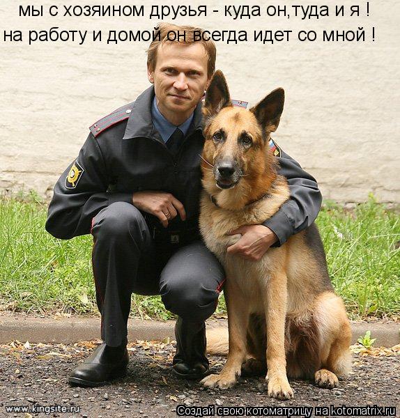 мы с хозяином друзья - куда он,туда и я ! на работу и домой он всегда идет со мной !... Котоматрица: мы с хозяином друзья - куда он,туда и я ! на работу и домой он всегда идет со мной !