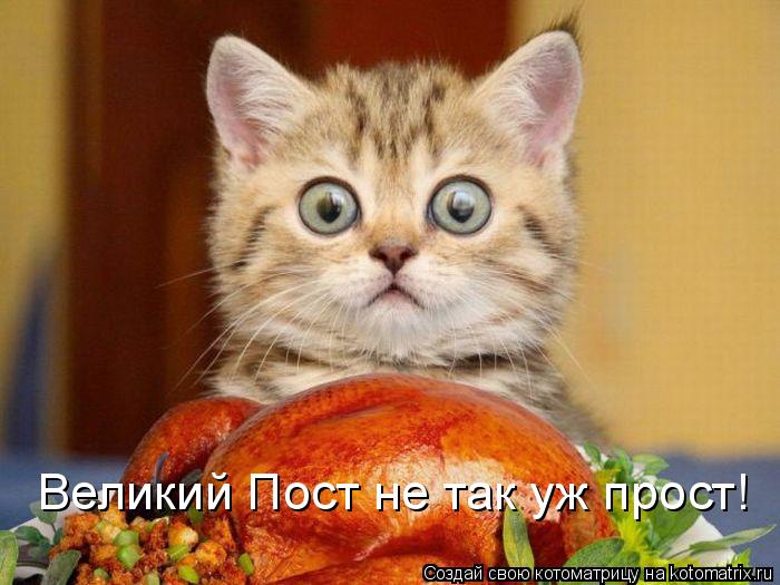 Великий Пост не так уж прост!... Котоматрица: Великий Пост не так уж прост!