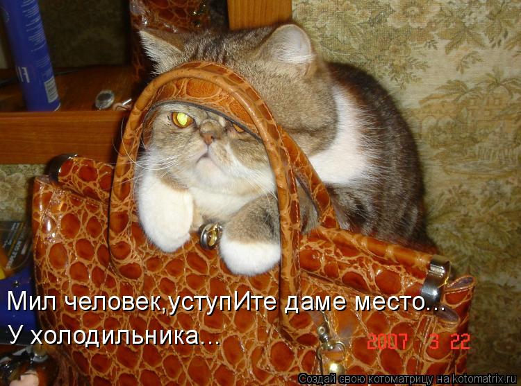 Мил человек,уступИте даме место... У холодильника...... Котоматрица: Мил человек,уступИте даме место... У холодильника...
