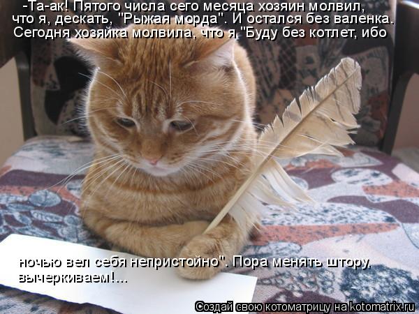 -Та-ак! Пятого числа сего месяца хозяин молвил, что я, дескать, "Рыжая морда". И остался без валенка.... Котоматрица: -Та-ак! Пятого числа сего месяца хозяин молвил, что я, дескать, "Рыжая морда". И остался без валенка. Сегодня хозяйка молвила, что я "Буду без ко