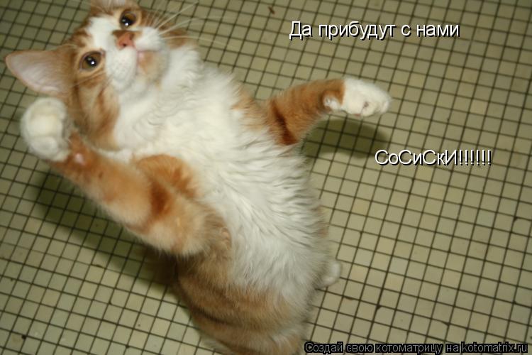 Котоматрица: Да прибудут с нами СоСиСкИ!!!!!!