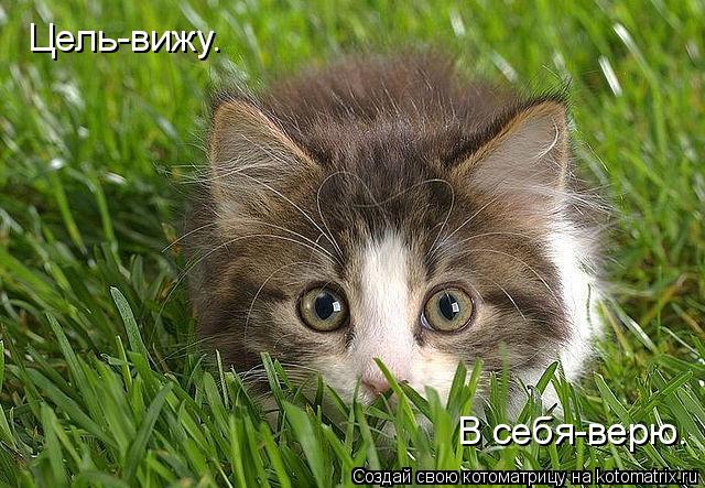 Цель-вижу. В себя-верю.... Котоматрица: Цель-вижу. В себя-верю.