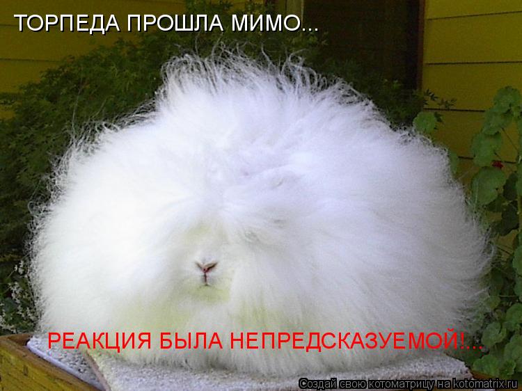 Котоматрица: ТОРПЕДА ПРОШЛА МИМО... РЕАКЦИЯ БЫЛА НЕПРЕДСКАЗУЕМОЙ!...
