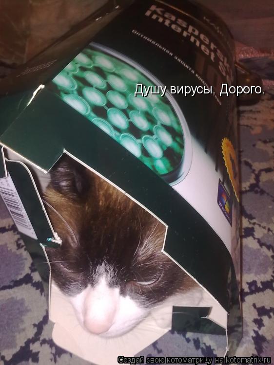 Котоматрица: Душу вирусы. Дорого.