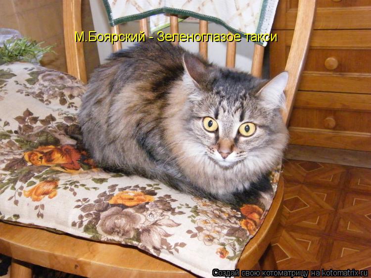Котоматрица: М.Боярский - Зеленоглазое такси