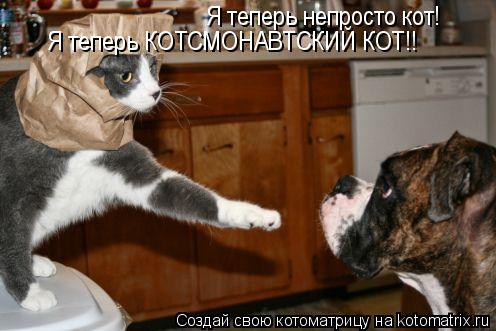 Я теперь непросто кот! Я теперь КОТСМОНАВТСКИЙ КОТ!!... Котоматрица: Я теперь непросто кот! Я теперь КОТСМОНАВТСКИЙ КОТ!!