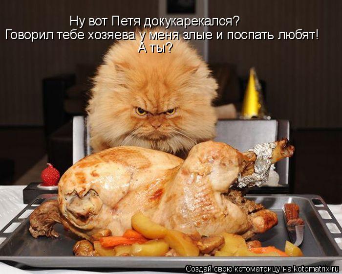 Котоматрица: Ну вот Петя докукарекался? Говорил тебе хозяева у меня злые и поспать любят! А ты?