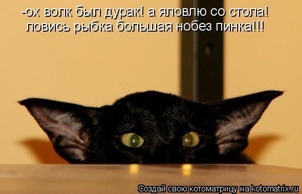 Котоматрица: -ох волк был дурак! а яловлю со стола!  ловись рыбка большая нобез пинка!!!