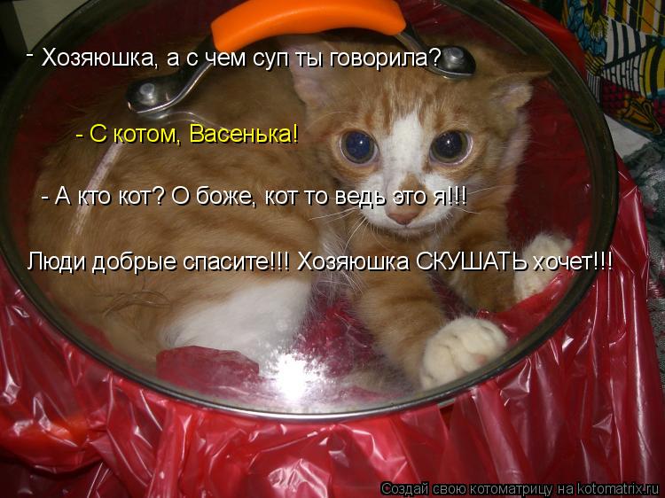 Котоматрица: Хозяюшка, а с чем суп ты говорила? - - С котом, Васенька! - А кто кот? О боже, кот то ведь это я!!! Люди добрые спасите!!! Хозяюшка СКУШАТЬ хочет!!!
