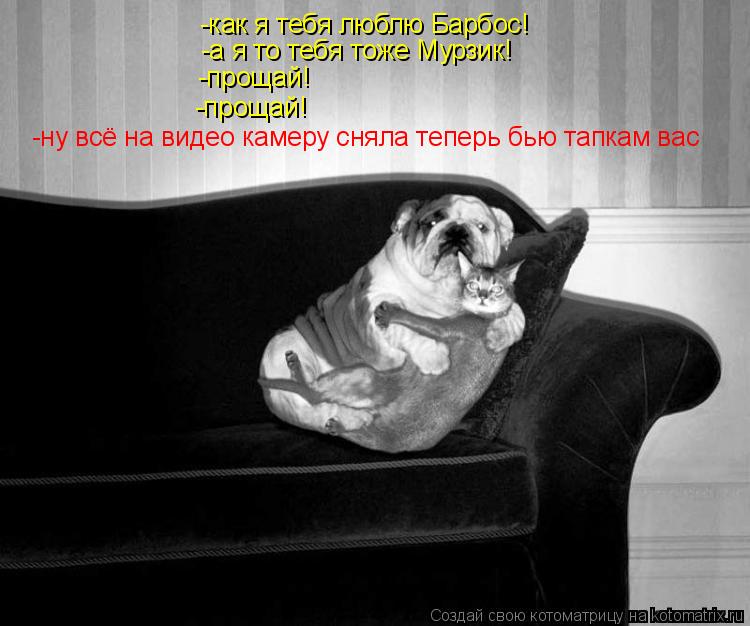 Котоматрица: -как я тебя люблю Барбос! -а я то тебя тоже Мурзик! -прощай! -прощай! -ну всё на видео камеру сняла теперь бью тапкам вас