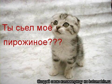 Котоматрица: Ты сьел моё  пирожиное???