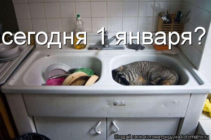 Котоматрица: сегодня 1 января?