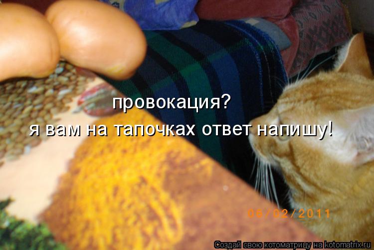 Котоматрица: провокация? я вам на тапочках ответ напишу!