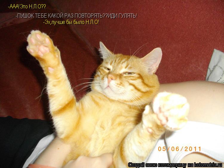 Котоматрица: -AAA!Это Н.Л.О?? -ПУШОК ТЕБЕ КАКОЙ РАЗ ПОВТОРЯТЬ??ИДИ ГУЛЯТЬ! -Эх,лучше бы было Н.Л.О!