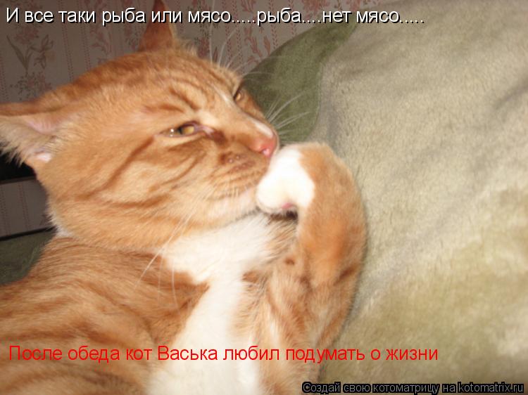 Котоматрица: После обеда кот Васька любил подумать о жизни И все таки рыба или мясо.....рыба....нет мясо.....