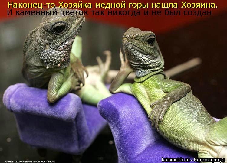 Наконец-то Хозяйка медной горы нашла Хозяина. И каменный цветок, и не каменный И каменный цветок так ... Котоматрица: Наконец-то Хозяйка медной горы нашла Хозяина. И каменный цветок, и не каменный И каменный цветок так никогда и не был создан