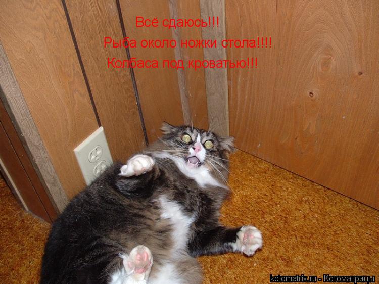 Рыба около ножки стола!!!! Колбаса под кроватью!!! Всё сдаюсь!!!... Котоматрица: Рыба около ножки стола!!!! Колбаса под кроватью!!! Всё сдаюсь!!!