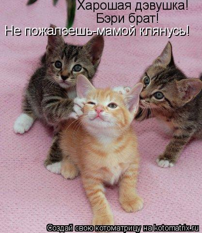 Харошая дэвушка! Бэри брат! Не пожалэешь-мамой клянусь!... Котоматрица: Харошая дэвушка! Бэри брат! Не пожалэешь-мамой клянусь!