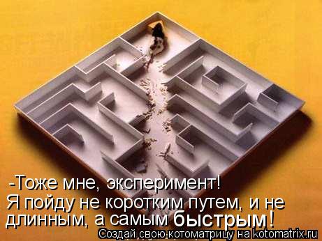 -Тоже мне, эксперимент! Я пойду не коротким путем, и не длинным, а самым быстрым!... Котоматрица: -Тоже мне, эксперимент! Я пойду не коротким путем, и не длинным, а самым быстрым!