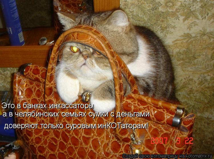 Это в банках инкассаторы доверяют только суровым инКОТаторам! а в челябинских семьях сумки с деньгами... Котоматрица: Это в банках инкассаторы доверяют только суровым инКОТаторам! а в челябинских семьях сумки с деньгами