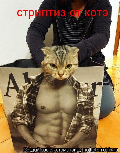 Котоматрица: стриптиз от котэ
