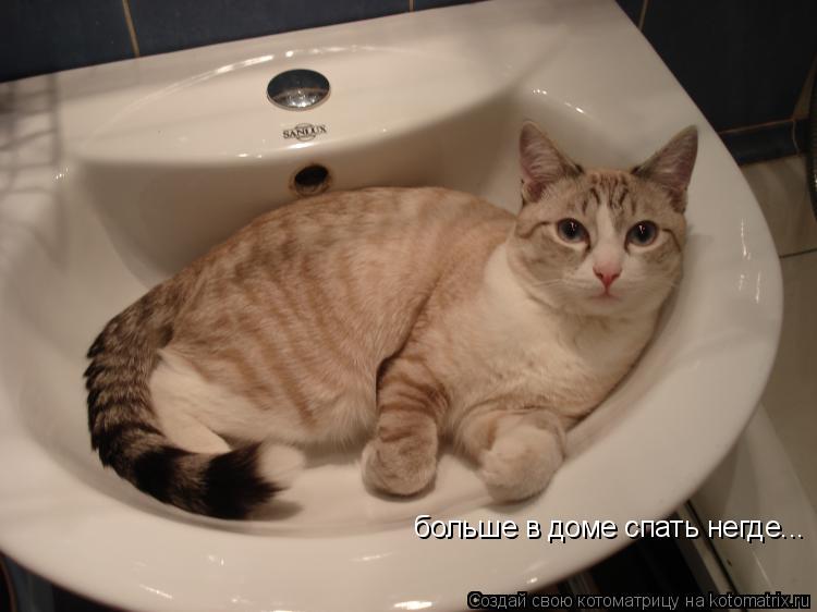 Котоматрица: больше в доме спать негде...