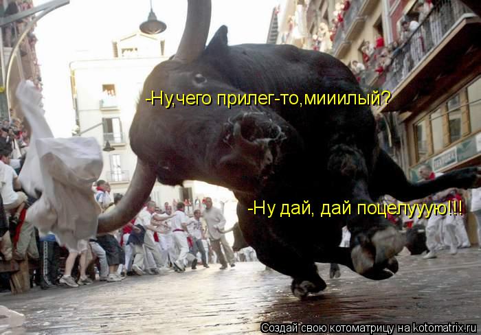 Котоматрица: -Ну,чего прилег-то,мииилый? -Ну дай, дай поцелууую!!!