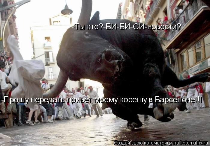 Котоматрица: -Ты кто?-БИ-БИ-СИ-новости? -Прошу передать привет моему корешу,в Барселоне!!!