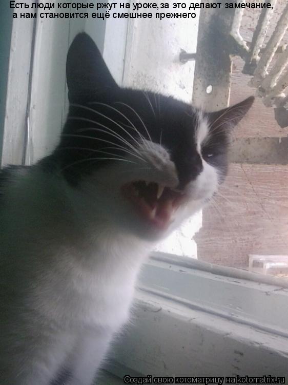 Котоматрица: Есть люди которые ржут на уроке,за это делают замечание, а нам становится ещё смешнее прежнего