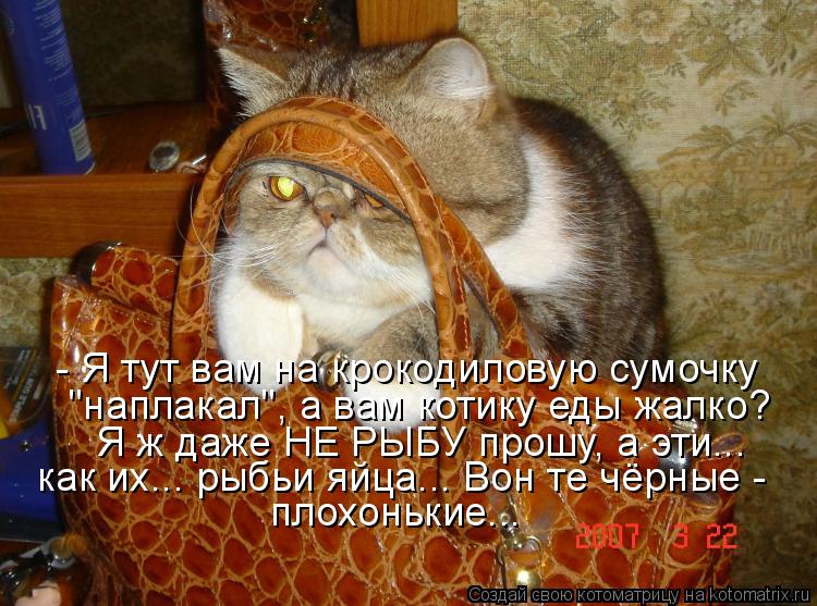 - Я тут вам на крокодиловую сумочку "наплакал", а вам котику еды жалко? Я ж даже НЕ РЫБУ прошу, а эти... Котоматрица: - Я тут вам на крокодиловую сумочку "наплакал", а вам котику еды жалко? Я ж даже НЕ РЫБУ прошу, а эти... как их... рыбьи яйца... Вон те чёрные - плох