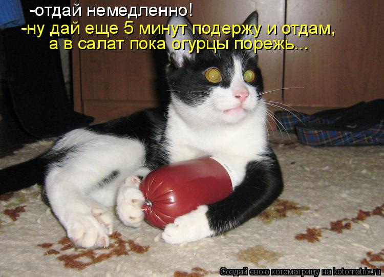 -отдай немедленно! -ну дай еще 5 минут подержу и отдам, а в салат пока огурцы порежь...... Котоматрица: -отдай немедленно! -ну дай еще 5 минут подержу и отдам, а в салат пока огурцы порежь...