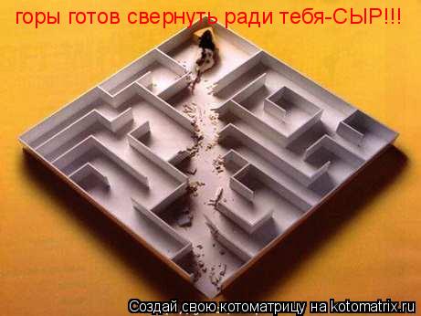 Котоматрица: горы готов свернуть ради тебя-СЫР!!!