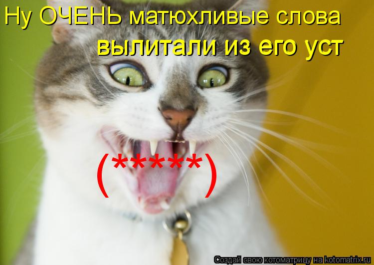Котоматрица: (*****) Ну ОЧЕНЬ матюхливые слова  вылитали из его уст вылитали из его уст
