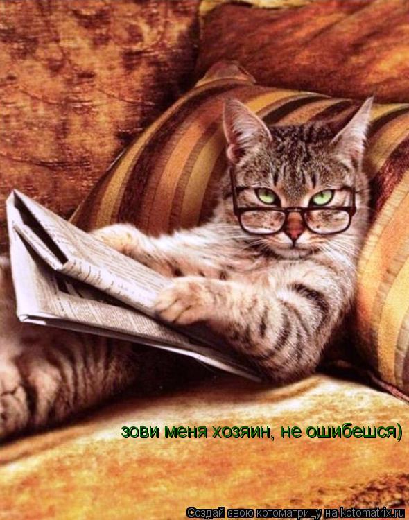 зови меня хозяин, не ошибешся) зови меня хозяин, не ошибешся)... Котоматрица: зови меня хозяин, не ошибешся) зови меня хозяин, не ошибешся)